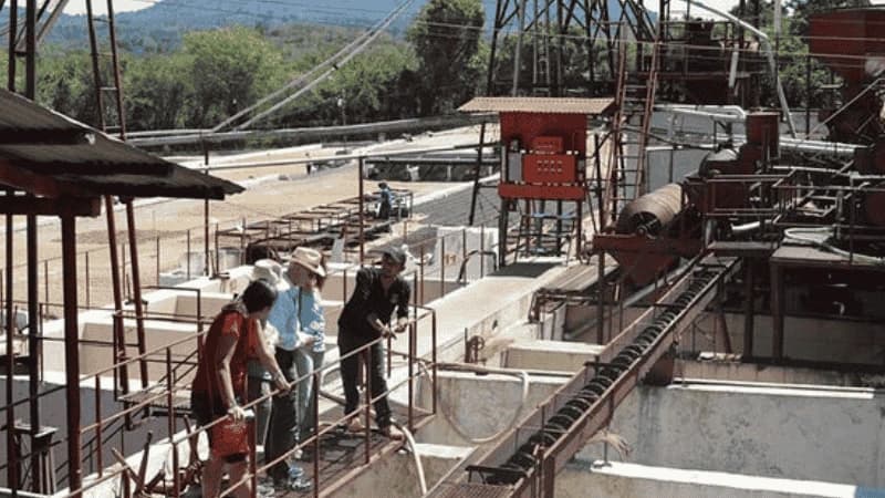 Tour De Cafe Ruta De Las Flores